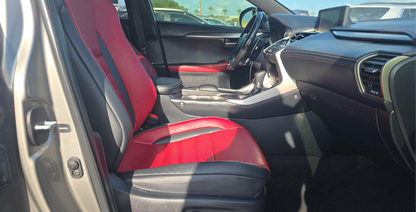2021 Lexus NX 300 F SPORT