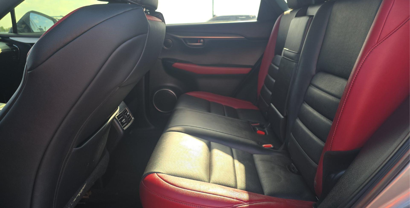 2021 Lexus NX 300 F SPORT