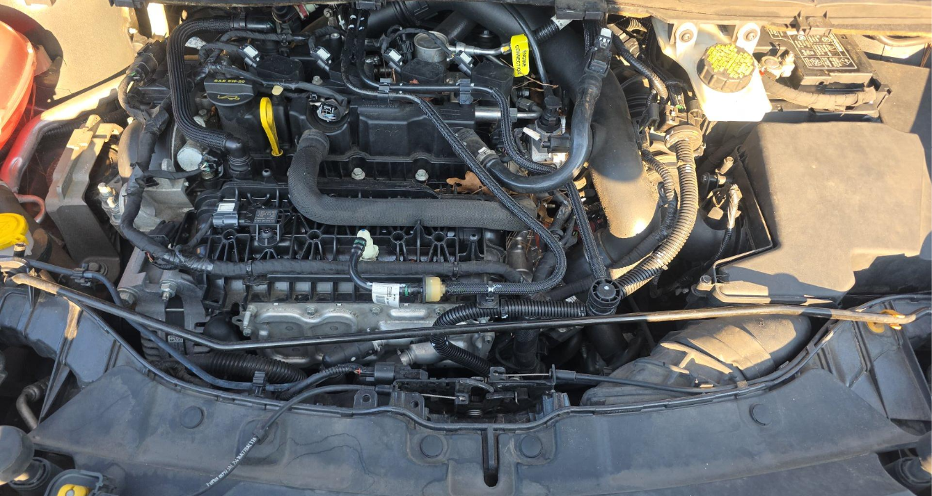 2019 Ford Escape SE